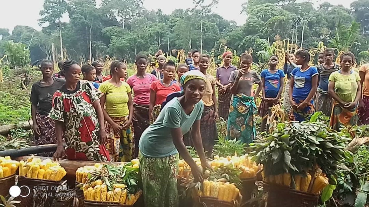 L’agriculture durable comme levier d’émancipation : le succès du projet AFAP à Pendjwa