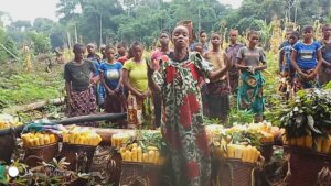 Projet DAppui Et Daccompagnement Des Femmes Autochtones Pygmees Pour Une Agriculture Resiliente Et Durable 4 300x169