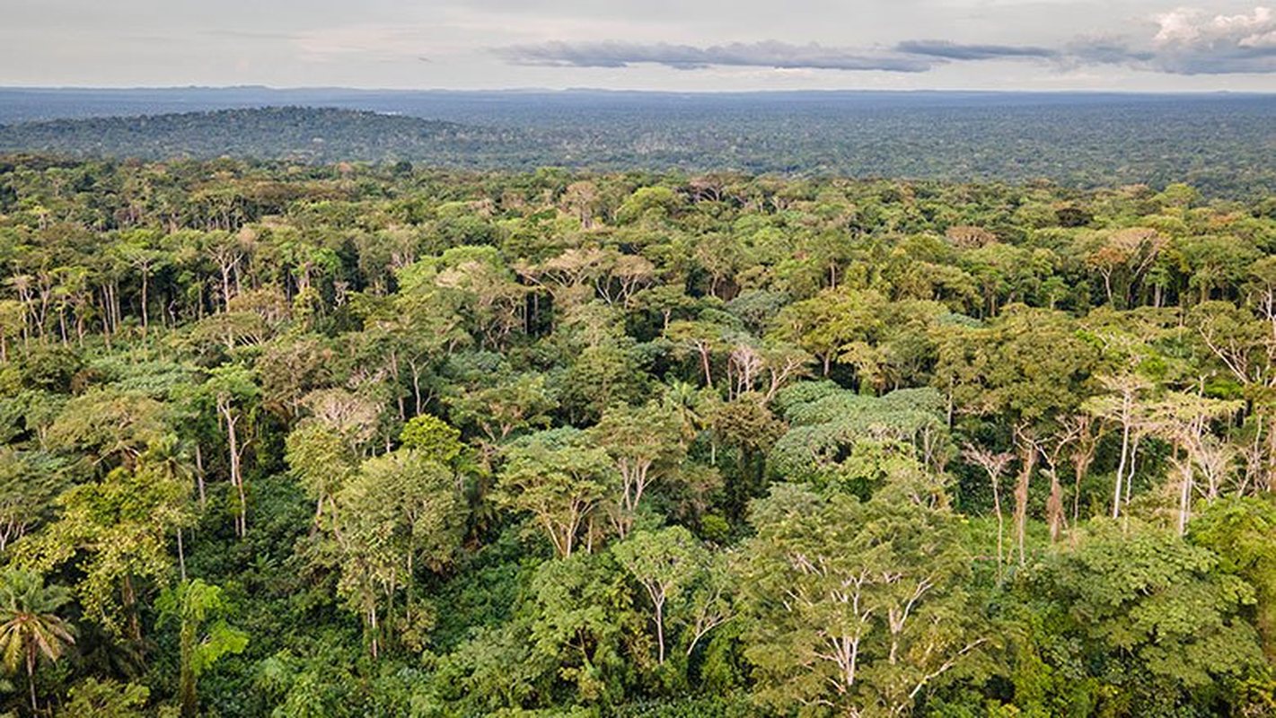 Forêts de Mai-Ndombe : L&rsquo;AFAP et la RRI sur le terrain pour sécuriser les terres d&rsquo;Ifumba